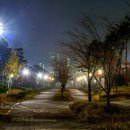 새암공원 Daum카페