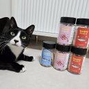 바다고양이식탁 이미지