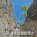 금오산 등산로 | 금오산 최단코스 후기, 할딱고개부터 포토존 정보 정리