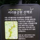 서리풀공원 이미지
