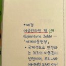 세계아동헌장-젭 이미지