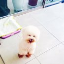 봉봉이 놀이터 이미지