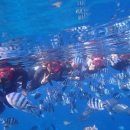 럭키셀프주유소 이미지