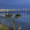 건호목장 이미지