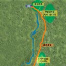 치유의 숲 이미지