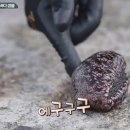 밍키 오마이뉴스