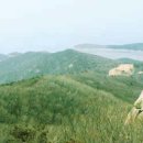 그래 거기 이미지