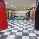 김태선다이어트복싱클럽 이미지