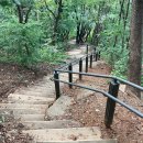 상도근린공원 산책로 이미지