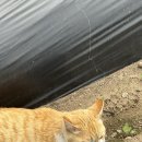 일루와농장 이미지