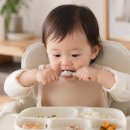 밥숟가락 | 15개월 아기 숟가락 사용, 언제부터 잘할까요? 혼자 밥 먹기 연습 방법 총정리