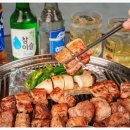 바다를 품은 돼지 이미지