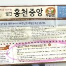 거짓목사와 진실게임(홍천중앙교회, 불법부동산사건을 정리) 이미지