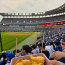 115 | 인천 SSG 랜더스필드 3루 내야필드석 115블럭 K열 시야 후기⚾ 삼성라이온즈 원정 직관 다녀왔어요!