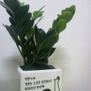 화랑합기도 주짓수 금촌도장 | 개관10주년 이벤트!!(MMASTORY금촌주짓수)(화랑합기도금촌도장)(금촌/금릉주짓수)(금촌/금릉합기도)