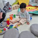 행복한 꼬마 거북이 네이버블로그