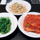 최네집 이미지
