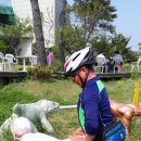 신도초등 이미지