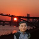 선유교 Daum카페