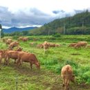 동선축산 이미지