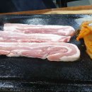 해피 댕 데이 이미지