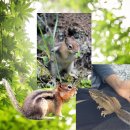 지리산약초관광농원 이미지