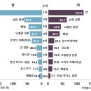 세이프렌즈