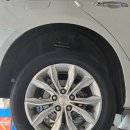 애니카랜드서울대점 이미지