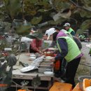 가을농원 이미지