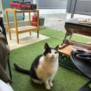 별빛민박 이미지