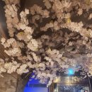 참치마니아 이미지