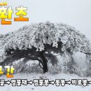 팔공산 겨울왕국 이미지