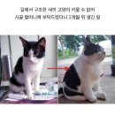 할머니집 이미지