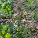 영천체육공원 이미지