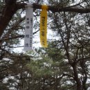 곡성-219 이미지