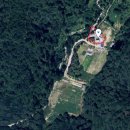 숲속의 계곡 이미지