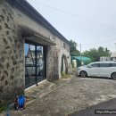 아스쿰 | 제주도 여행 1일차 제주시 카페 돌창고를 개조한 유니크함이 돋보이는 아스쿰 내돈내먹