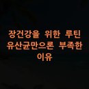 B.B.Q전곡점 | 장건강을 위한 루틴, 유산균만으론 부족한 이유