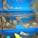 해태식당 이미지