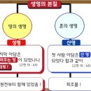 떡다섯개