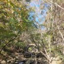 남도삼백리길(9코스) | 남도 삼백리길 (9코스{천년불심길})