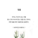 믿음