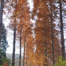 행운 태양광 발전소 이미지