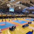 명품 태권도 이미지