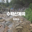 컴포즈커피남양주청학리점 | 수락산 청학리계곡 위치 주차정보 아이랑 주말 물놀이