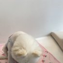 WITH DEW(윗듀) 이미지