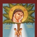 고대1124 이미지