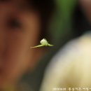 동심어린이집 이미지