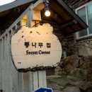 인제나르샤파크 캠핑장 | 강원도 대가족여행 숙소 독채펜션 인제 오아시스정글캠핑장 통나무집 추천