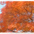 우리들이 보는 세상 이미지